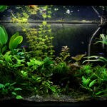 Can an Aquarium Have too Many Aquatic Plants 1