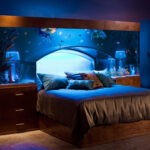 Is It Bad To Have A Fish Tank In Your Bedroom