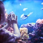 Fish-Tank-in-a-Toddler’s-Room