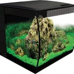 Fluval-Flex-15-Review-1