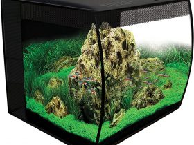 Fluval-Flex-15-Review-1