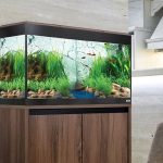Fluval-Roma-125-Bluetooth-LED-Aquarium-Review-main-2