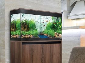 Fluval-Roma-125-Bluetooth-LED-Aquarium-Review-main-2