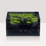 Hygger Horizon 8 Gallon review aquatics kingdom