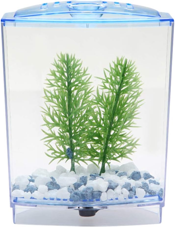 Aquarium Guide For Beginners acrylic tank Aquarium Guide For Beginners acrylic tank