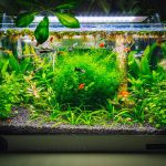 Aquarium Sizes 1 - aquatics kingdom