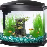 Aqueon LED MiniBow 5 Gallon Review 4