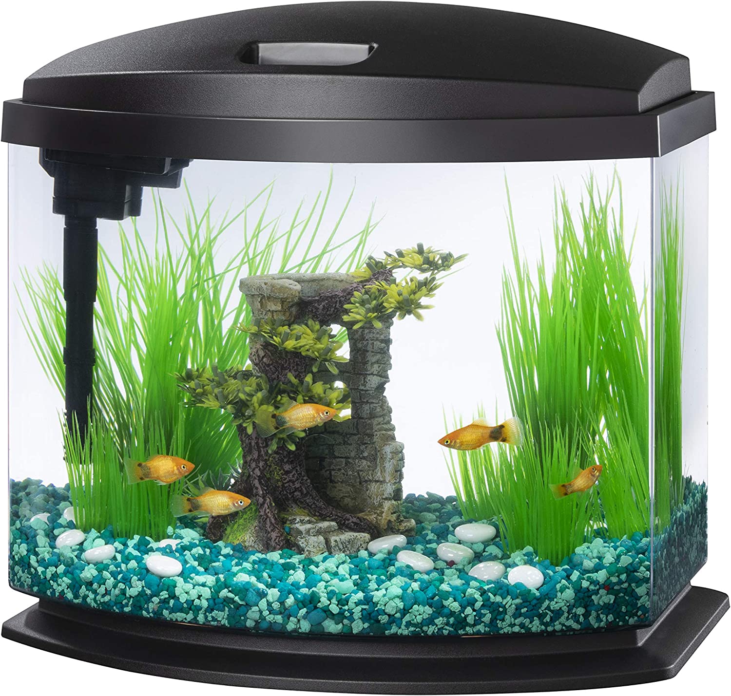 Aqueon LED MiniBow 5 Gallon Review 4 Aqueon LED MiniBow 5 Gallon Review 4