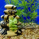 How-To-Clean-Gravel-In-a-Fish-Tank-1