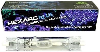 metal halide aquarium metal halide aquarium
