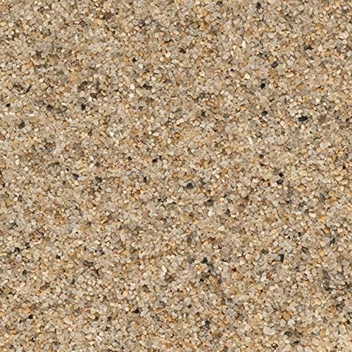sand substrate sand substrate