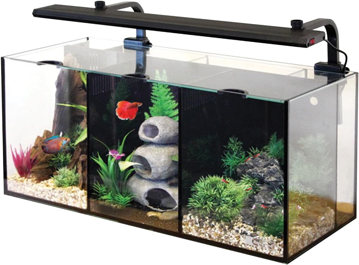 Aqua One Betta Trio