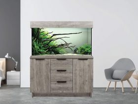 Aqua One Fish Tank Review - aquatics kingdom
