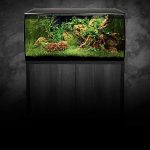 Fluval Flex 32.5 Review 2 (2)