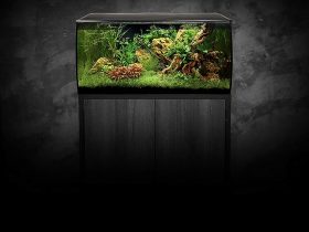Fluval Flex 32.5 Review 2 (2)