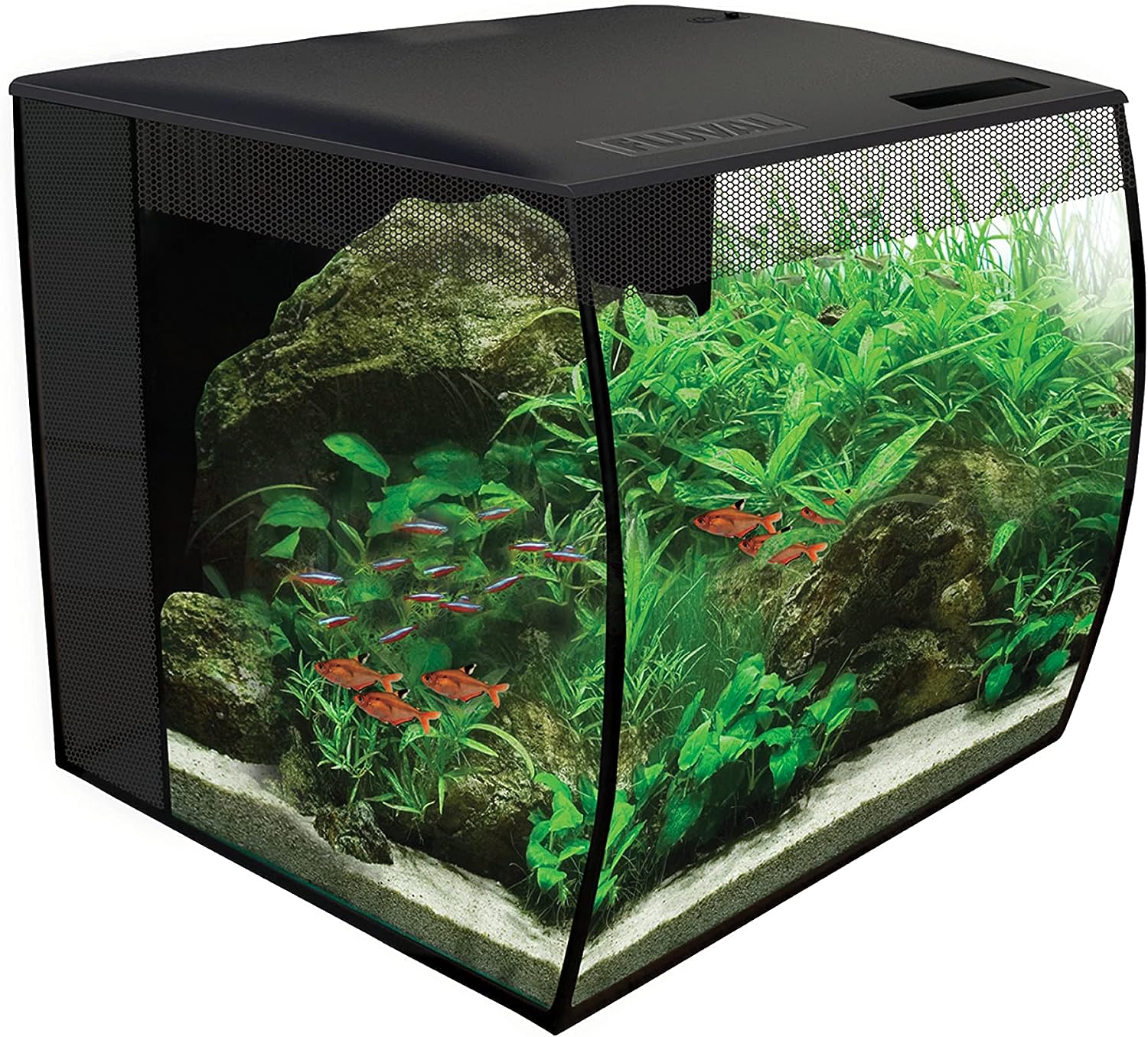 Fluval Flex 9 Gallon Review 2 (2)