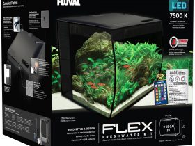 Fluval Flex 9 Gallon Review 6