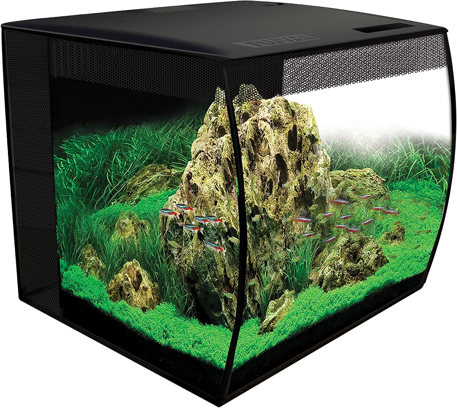 Fluval Flex 57 Litre Aquarium Review 1