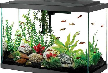 Best Fish Tank Home Aquariums-Aqueon LED 20 Aquarium Kit
