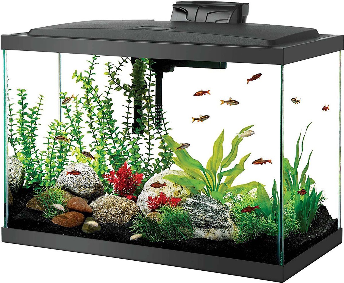 Best Fish Tank Home Aquariums-Aqueon LED 20 Aquarium Kit