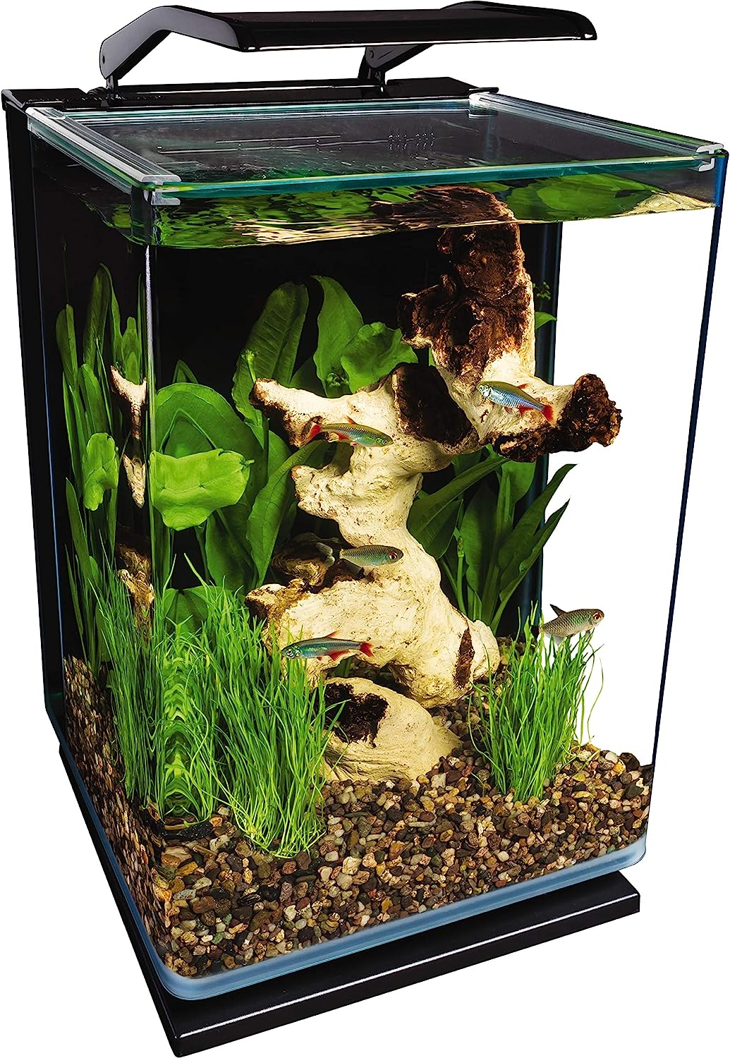 Best Fish Tank Home Aquariums - MarineLand 5 Gallon Portrait Glass LED Aquarium Kit