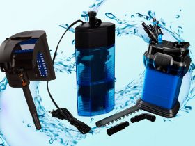 best-aquarium-filter-aquatics-kingdom